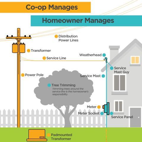 Infographic of what owners own