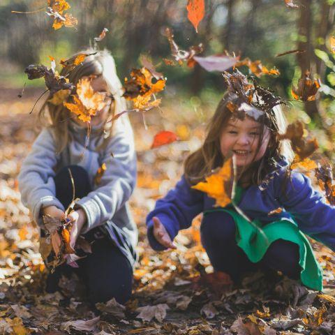 Children playing in fall leaves