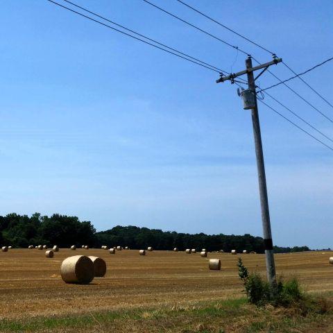 Power pole near a hay field