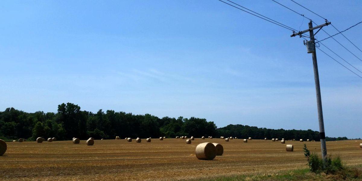 Power pole near a hay field